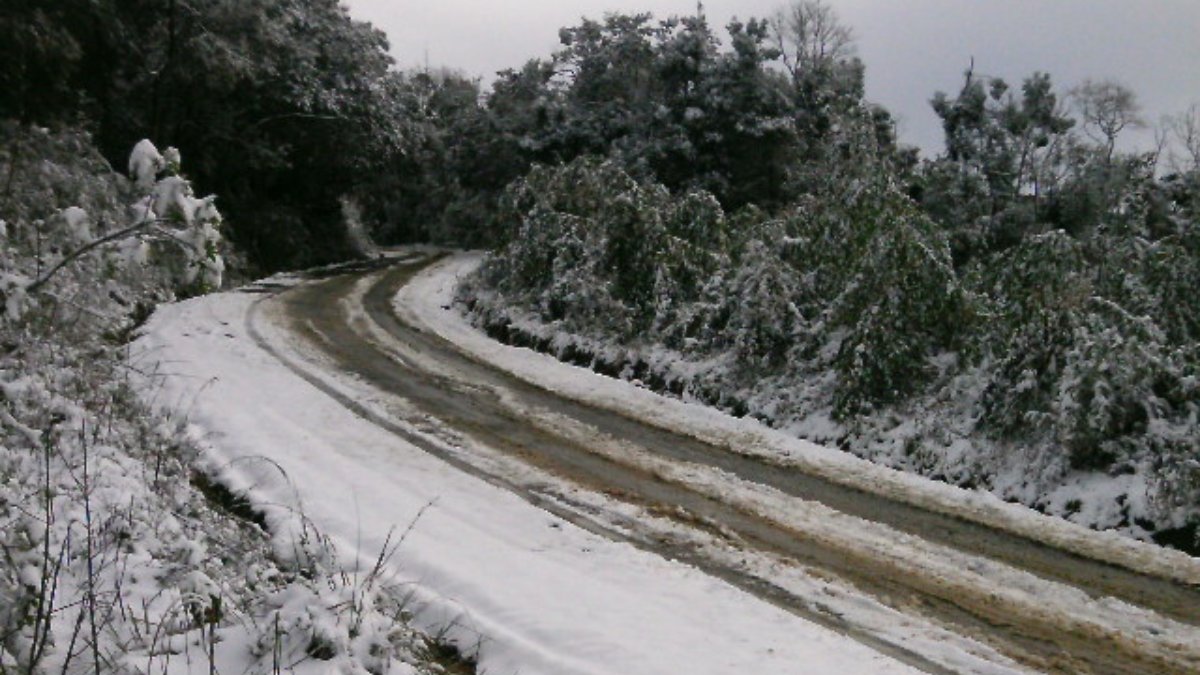 As baixas temperaturas transformam as paisagens do Sul do Brasil em cenários que lembram o inverno europeu. Foto: Wikimedia Commons