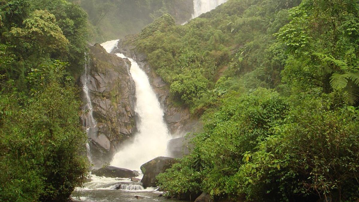 Cachoeira dos Veados (Foto: Miguel Angelo Pinguelli/Wikimedia Commons)