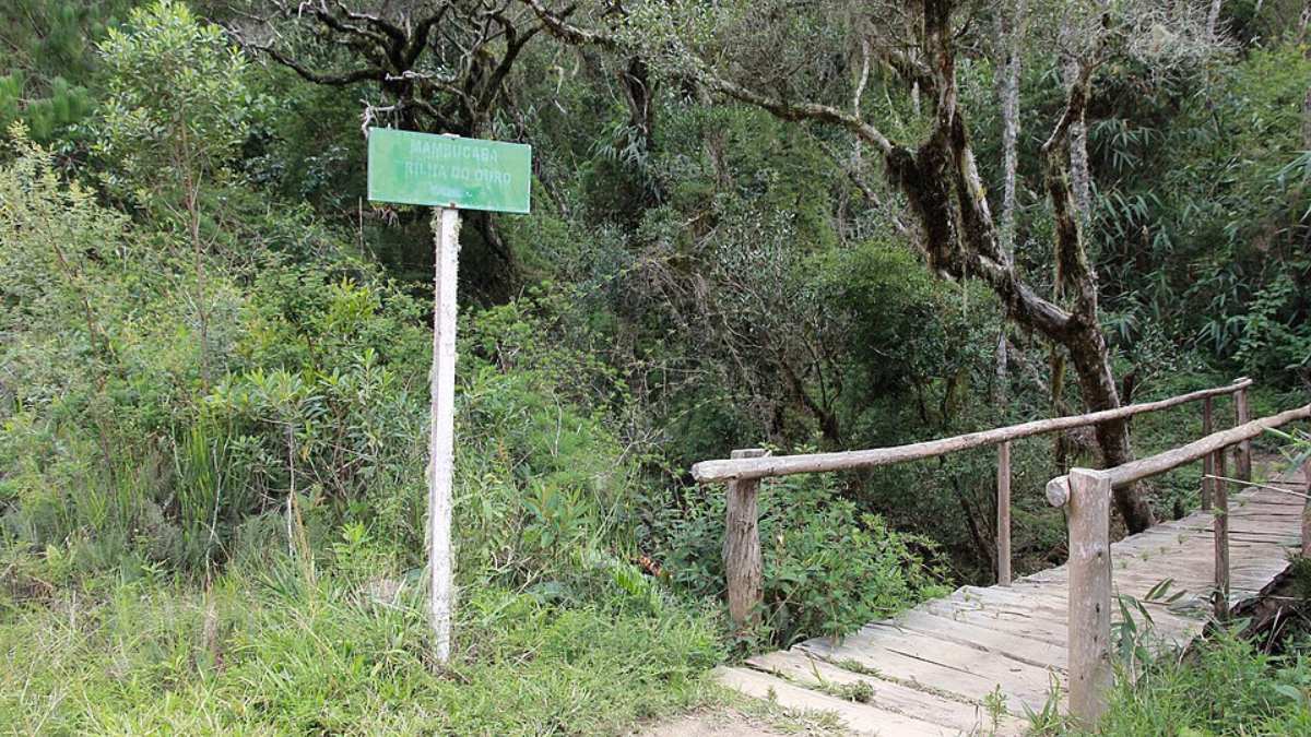 Entrada da Trilha do Ouro (Foto: Halley Pacheco de Oliveira/Wikimedia Commons)