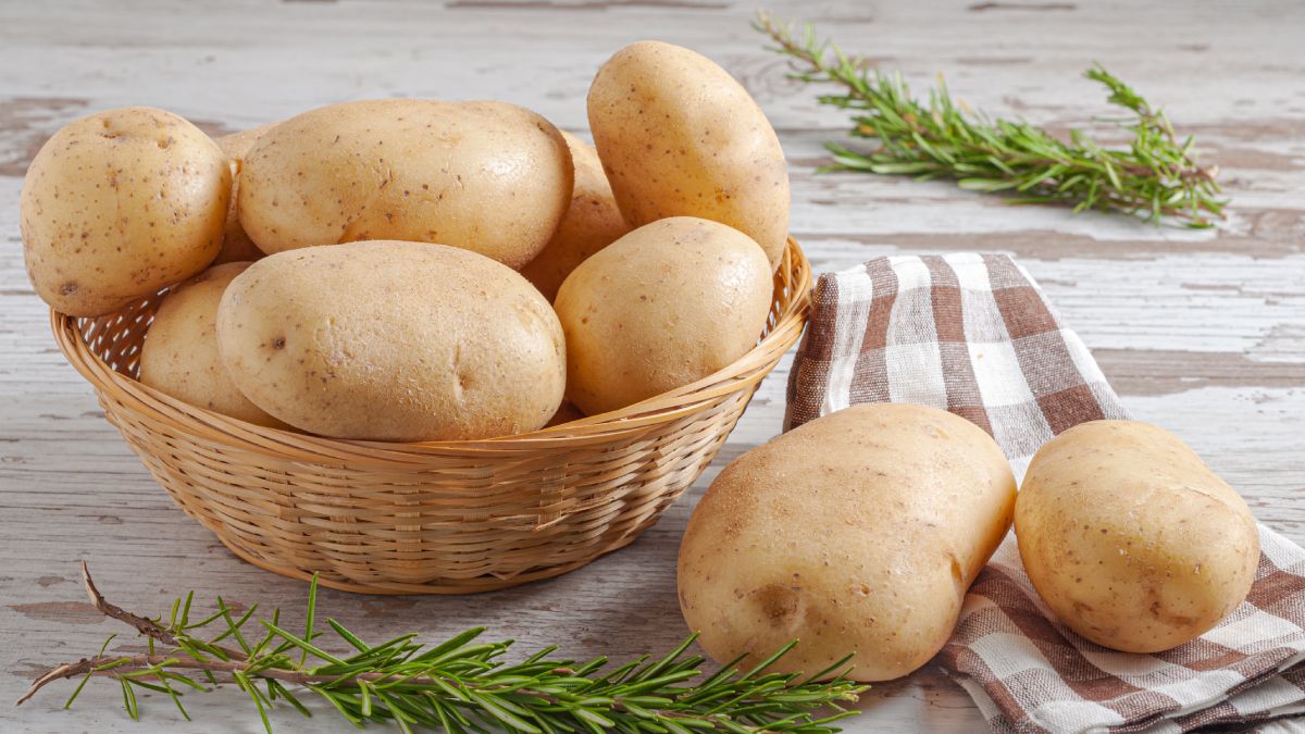 2. Batata