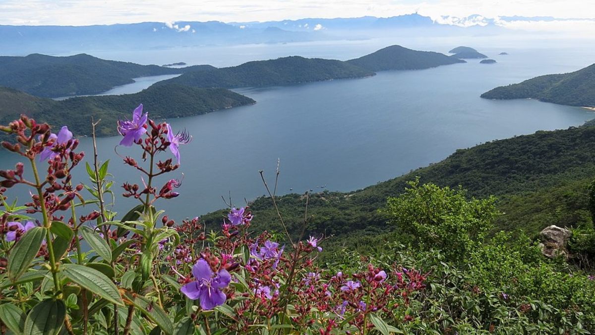 A paisagem chama atenção pelo formato alongado e pelas águas tranquilas que avançam terra adentro (Foto: Pedrogabrielmaciel/Wikimedia Commons)