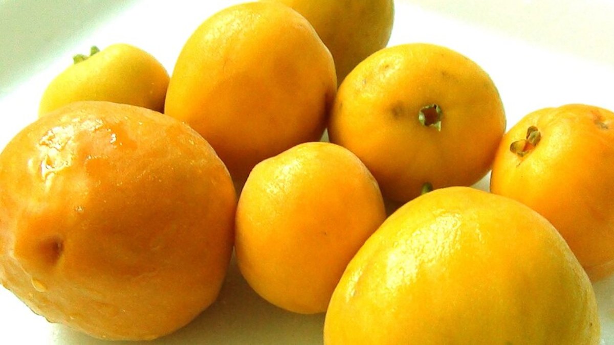 Pouco conhecida fora das regiões de Mata Atlântica, a Uvaia é uma fruta amarela, arredondada e de aroma intenso (Foto: DirecteurRMutt/Wikimedia Commons)