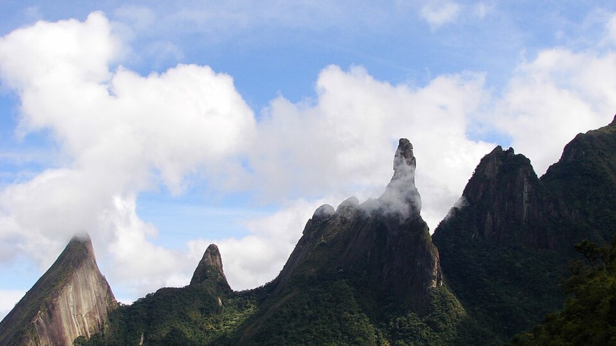 (Foto: Glauco Umbelino/Wikimedia Commons)