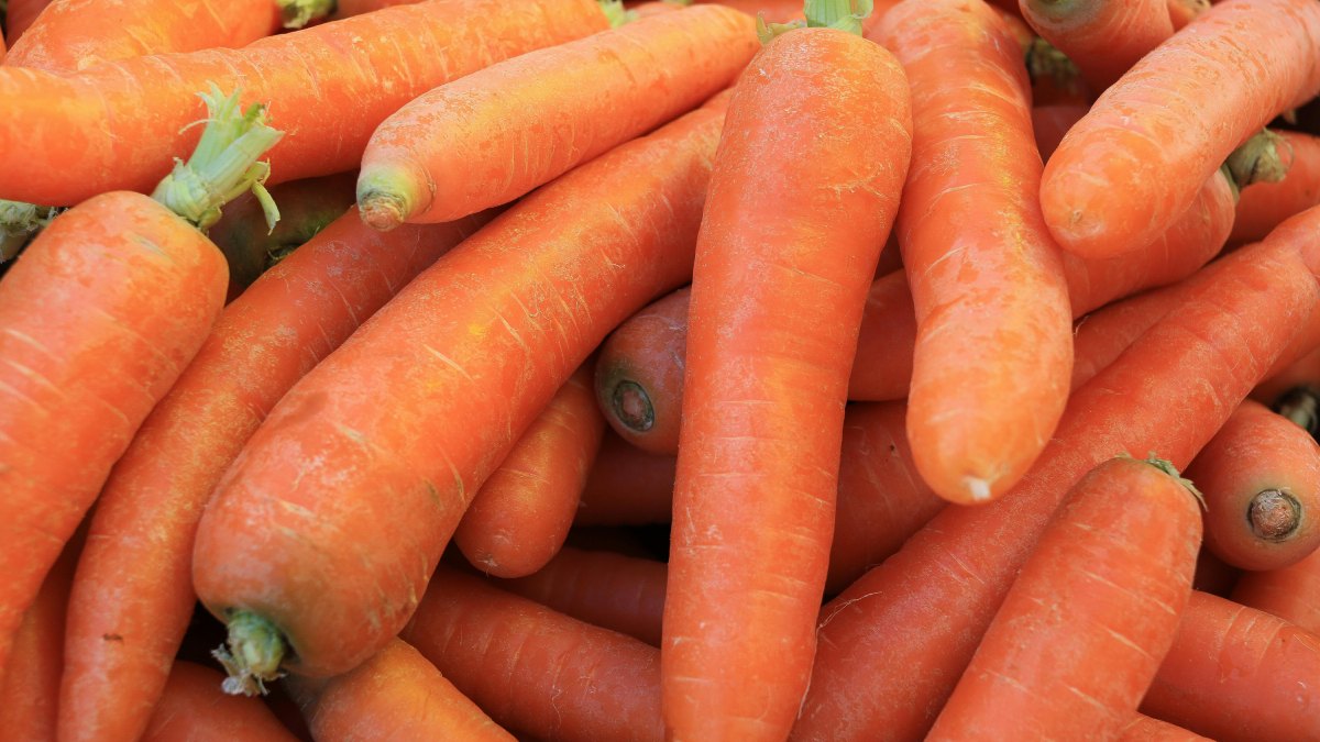 Mesmo tão comum nas feiras e supermercados, muita gente não imagina que ela nem sempre teve a cor laranja que hoje predomina nas prateleiras
