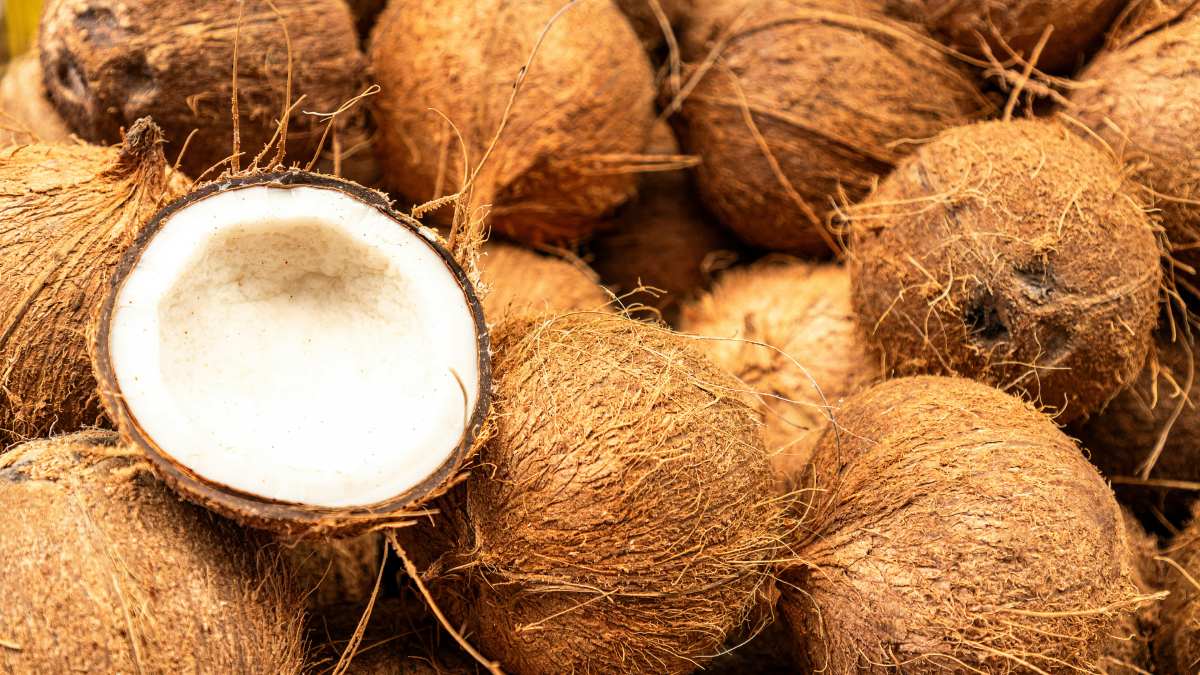 5. Coco (originário do sudeste Asiático e de ilhas entre os oceanos Índico e Pacífico)