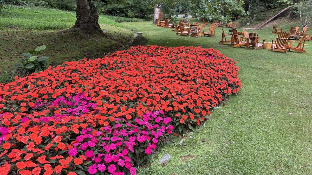 Jardim de flores no Parque Bambuí, em Campos do Jordão