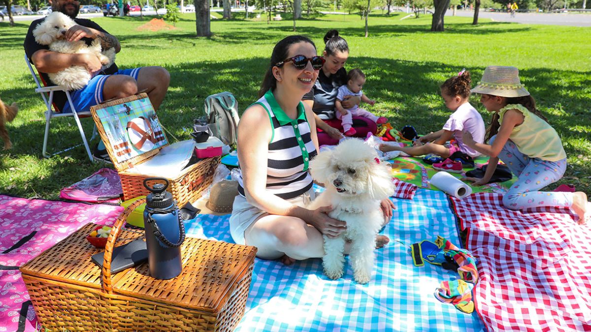 O clima de "praia sem água" no Eixão do Lazer atrai famílias e pets para piqueniques e momentos de descontração, transformando o asfalto no principal parque linear da capital. Paulo H. Carvalho/Agência Brasília