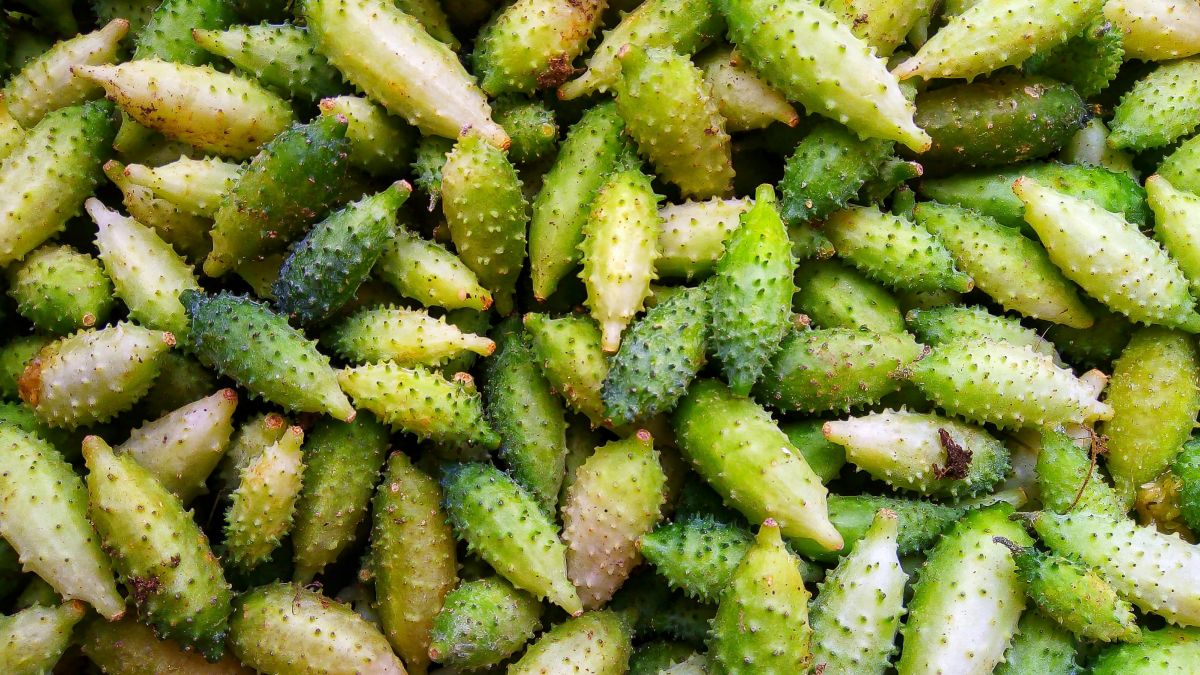 O preparo rápido em refogados ajuda a preservar a textura e as propriedades do vegetal. Foto: Pexels