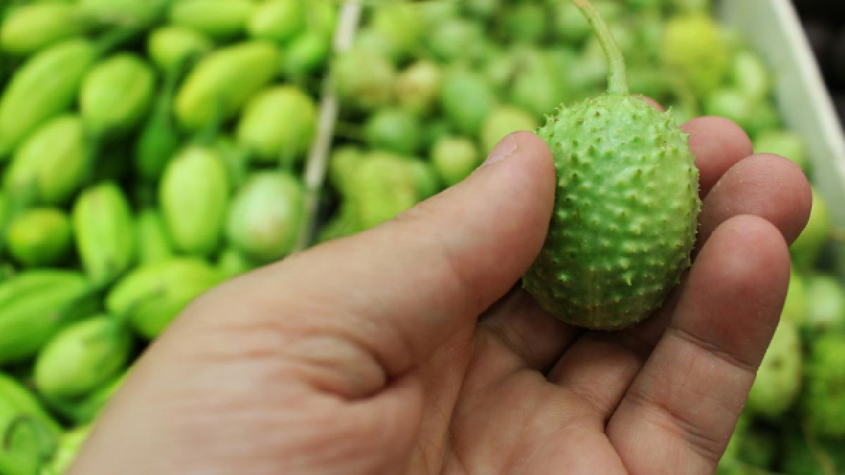 O maxixe é um aliado importante para quem busca uma alimentação equilibrada e funcional. Foto: Pexels