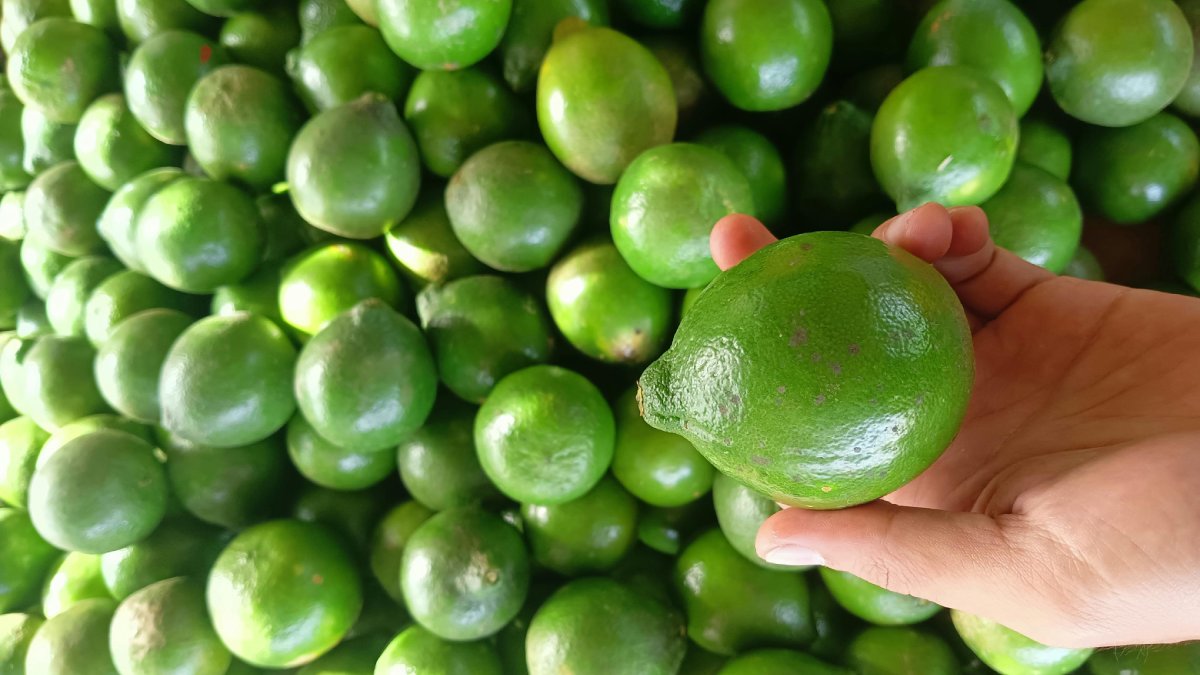 8. Limão (originário do Sudeste Asiático, onde hoje ficam o Himalaia e a Índia)