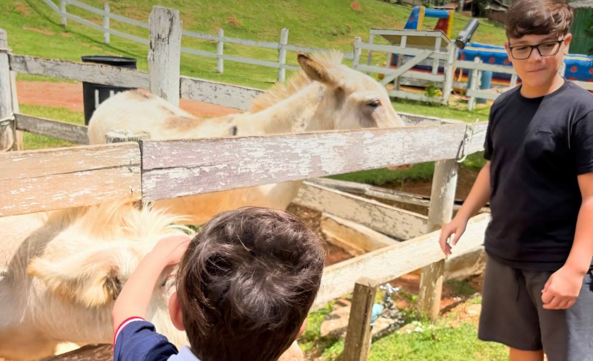 Na área rural, os visitantes podem conhecer o berçário de animais e participar da alimentação /Reprodução/Instagram