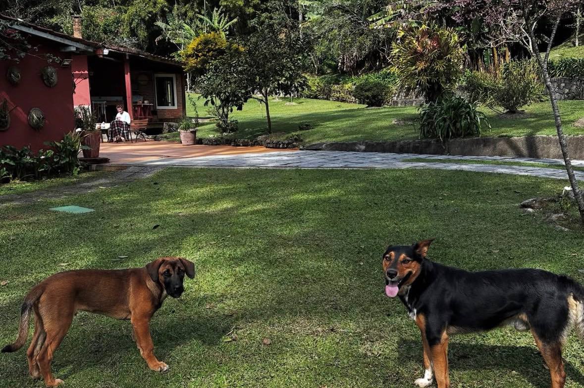 Reprodução/Instagram