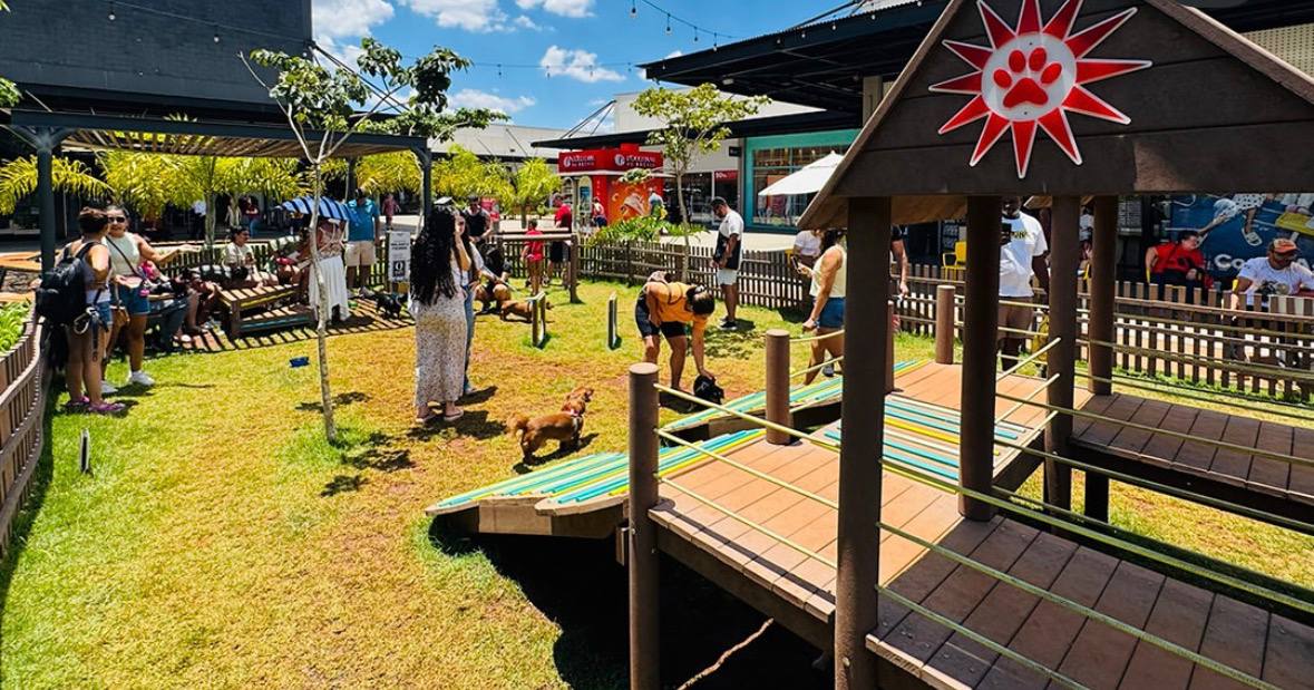 Outlet Premium Imigrantes recebe encontro de chihuahuas gratuito neste domingo /Reprodução/Instagram