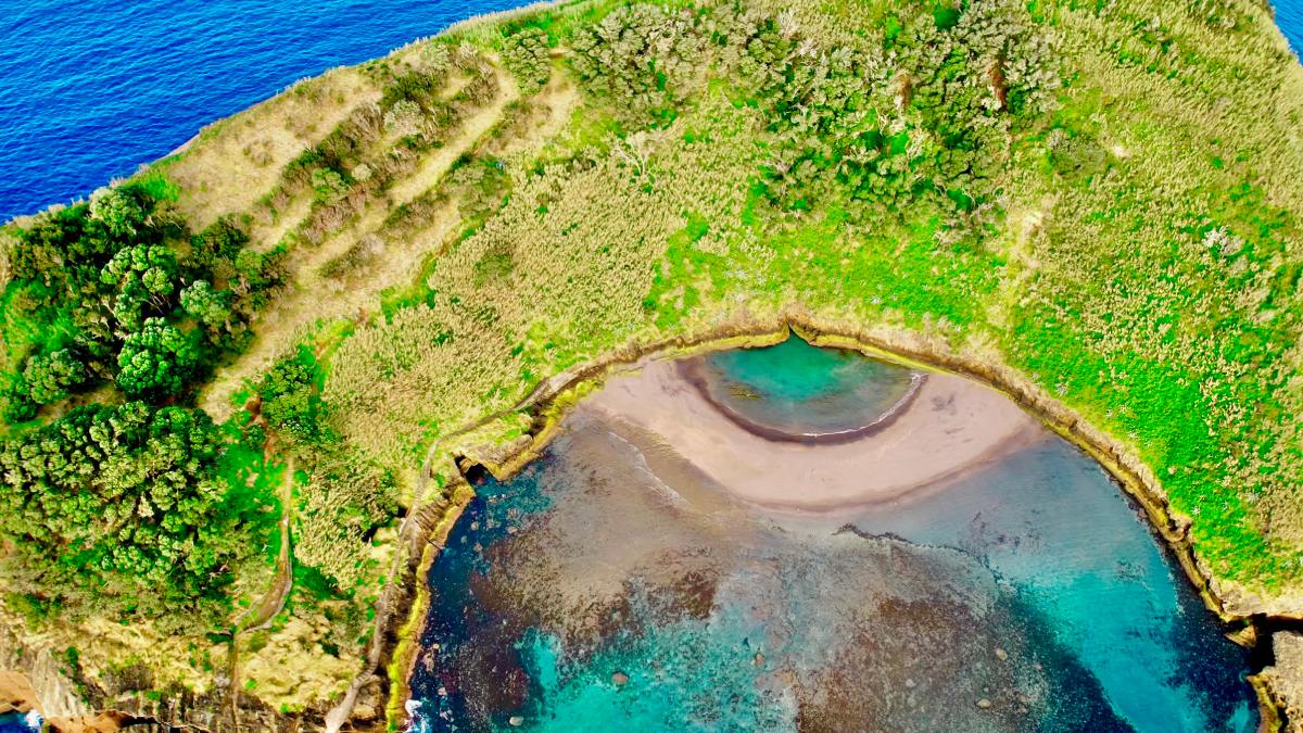 O acesso ao santuário é controlado por um limite rigoroso de visitantes para garantir a preservação da reserva natural. Foto: Reprodução/Youtube