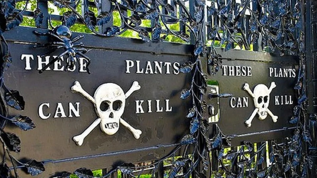 Segurança em primeiro lugar: Funcionários do jardim utilizam equipamentos de proteção para manusear as plantas que podem irritar ou matar. . Foto: Reprodução