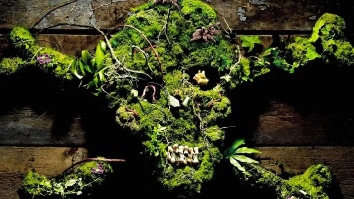 O santuário do perigo: Localizado em Alnwick, na Inglaterra, o Poison Garden abriga mais de 100 espécies conhecidas por sua toxicidade. . Foto: Reprodução