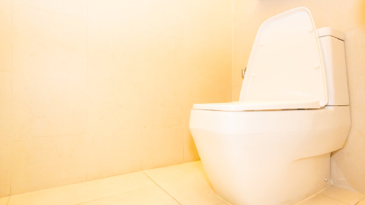 O amarelado no vaso surge pelo acúmulo de minerais da água e restos orgânicos na louça