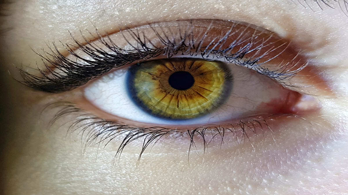 A ciência explica como ilusões ópticas distorcem a realidade - freepik