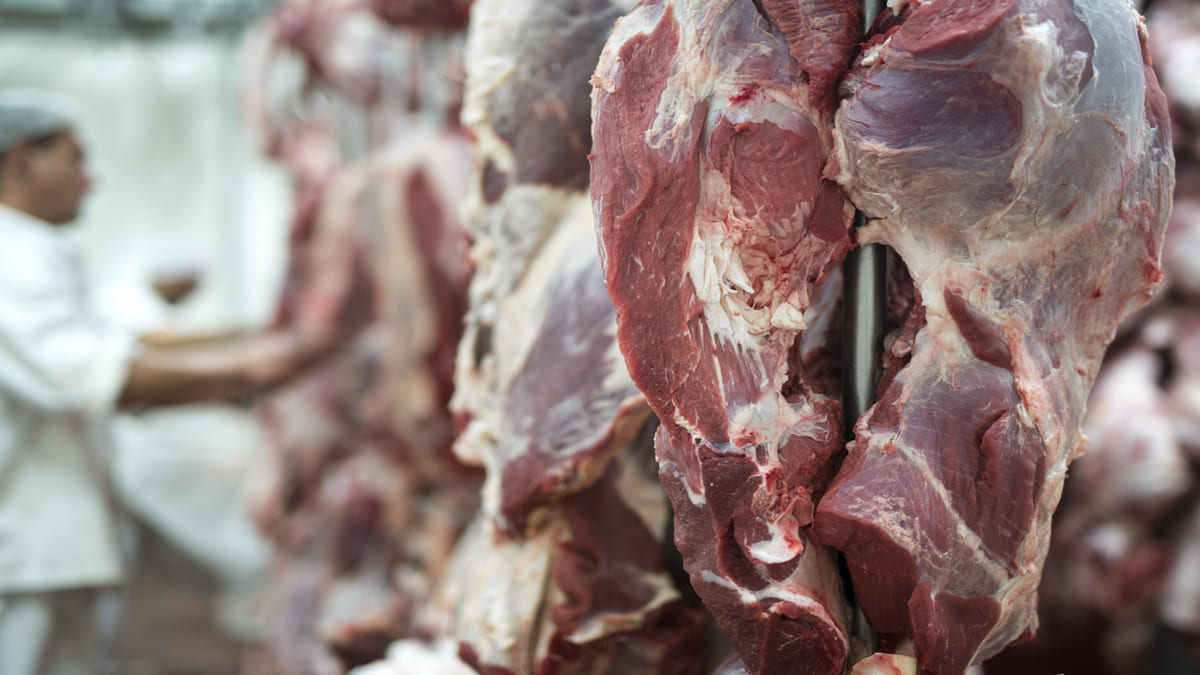 Técnicas simples ajudam a transformar carnes de segunda em pratos suculentos