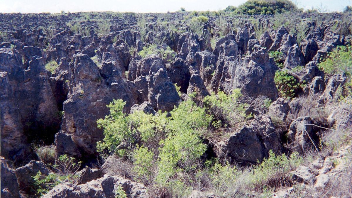 Mineração de fosfato deixou marcas profundas no centro de Nauru, hoje marcado por formações de calcário (Foto: U.S. Department of Energy's Atmospheric Radiation Measurement Program / Wikimedia Commons)