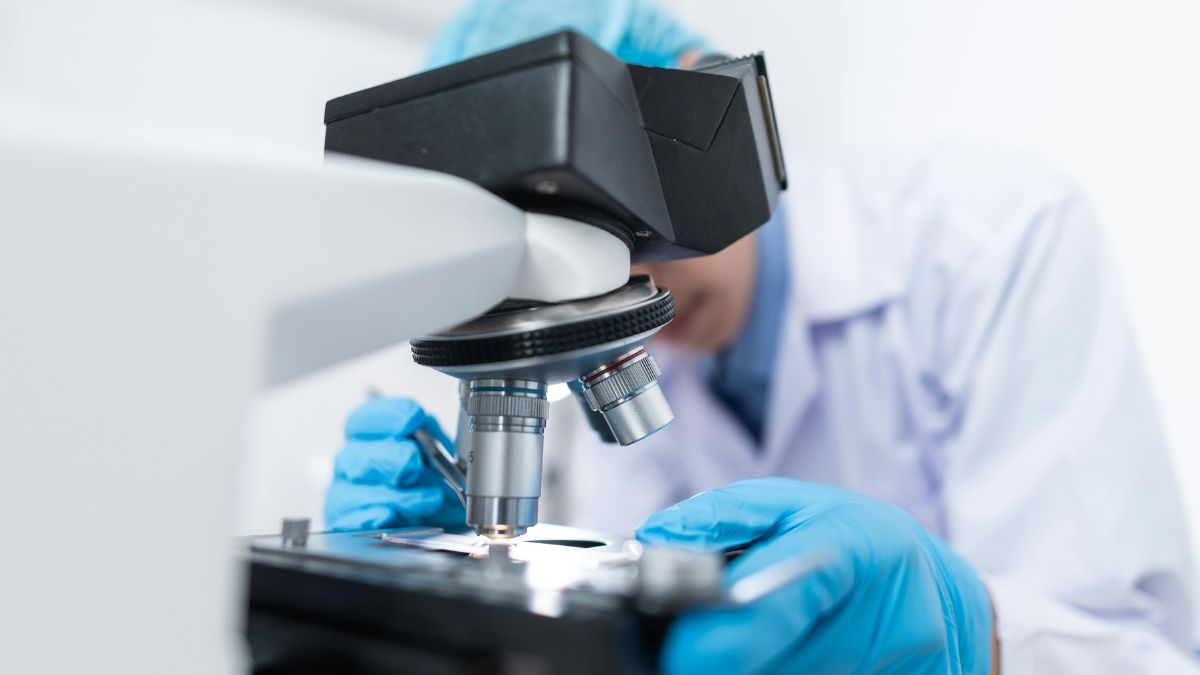 Cientista observa amostras ao microscópio, ferramenta essencial para entender processos invisíveis do corpo humano (Foto: Chokniti Khongchum / Pexels)