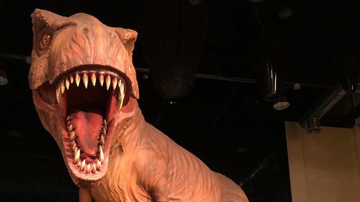 Reconstituição de Patagotitan mostra o visual provável de grandes titanossauros herbívoros (Foto: Nobu Tamura / Wikimedia Commons)