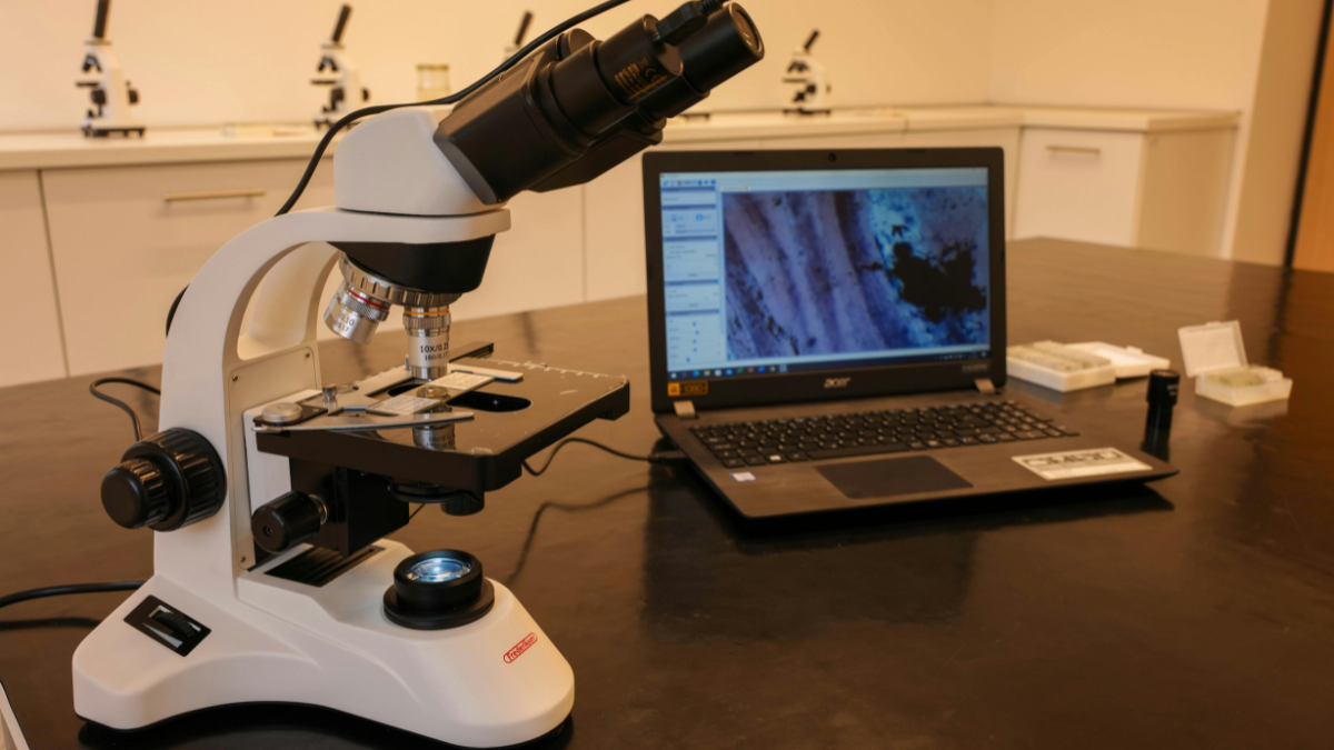 Microscópio conectado a um computador representa a união entre imagem, análise digital e biologia celular nas pesquisas modernas sobre tumores (Foto: Vladimir Srajber / Pexels)