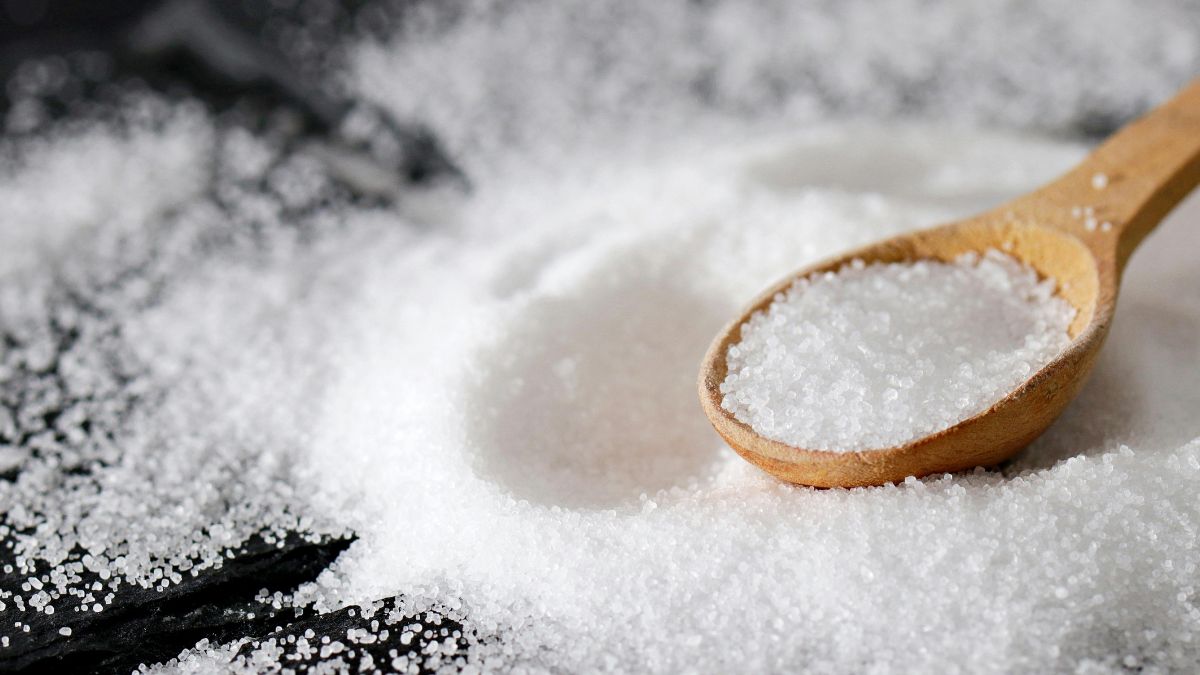 A presença do sal na mesa mostra como esse ingrediente virou parte central dos hábitos alimentares (Foto: Pexels)