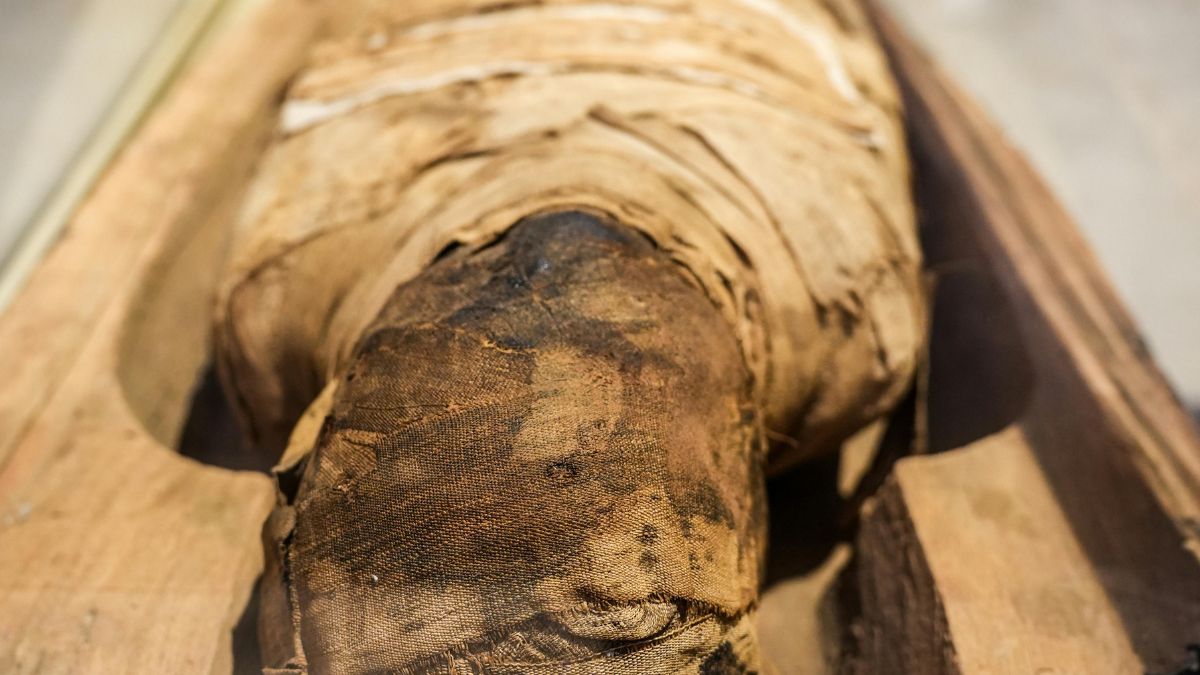 Sarcófagos e múmias ajudam pesquisadores a reconstruir crenças funerárias de diferentes períodos do Egito (Foto: Pexels)
