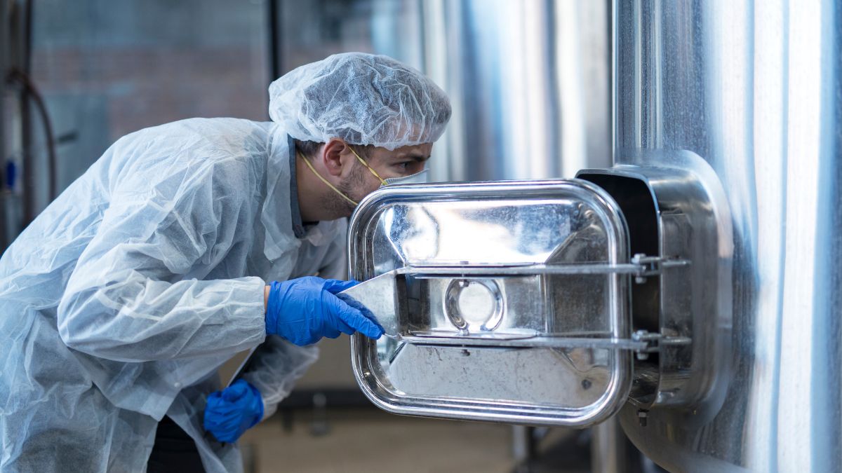 A tecnologia dos fotobiorreatores permite cultivar microalgas em ambientes controlados e ampliar sua capacidade de absorver carbono (Foto: Pexels)