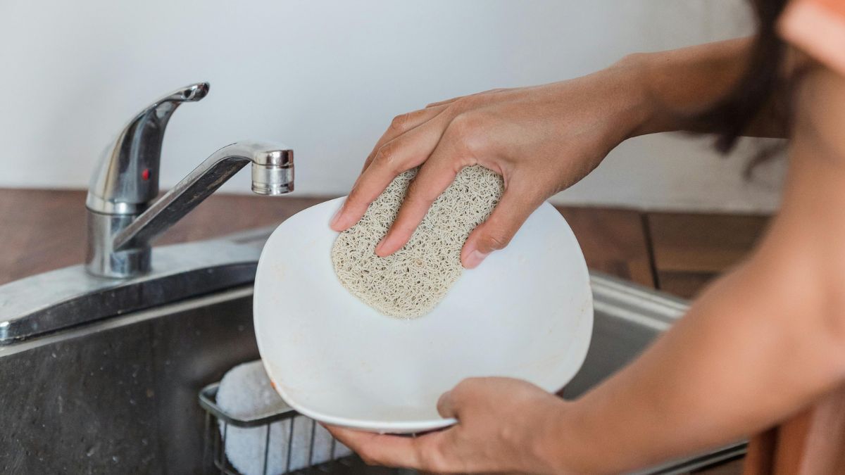 A esponja ajuda a espalhar o produto e aumenta o atrito contra a gordura grudada (Foto: Pexels)