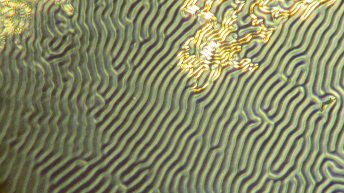 As faixas lembram a lógica visual do experimento com cristal do tempo, em que a matéria passa a repetir movimentos e reorganizações ao longo do tempo (Foto: Wikimedia Commons/Alexprague)