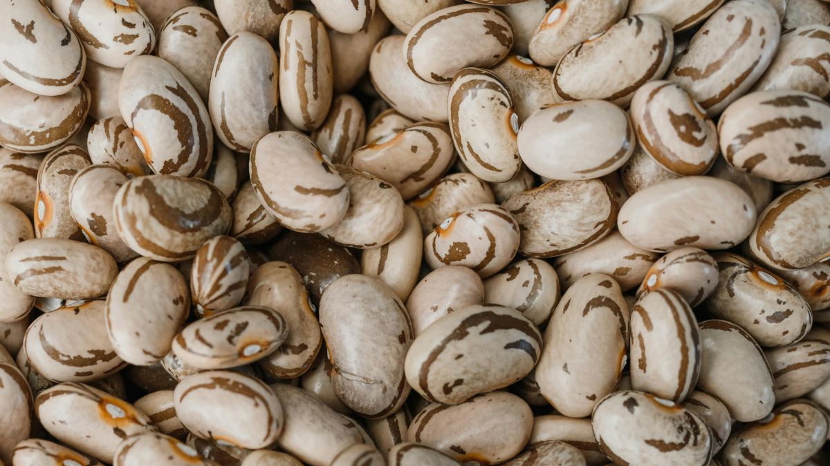 Antes de virar caldo, o grão seco passa por uma etapa que ajuda a explicar a tradição de deixá-lo de molho (Foto: Pexels)