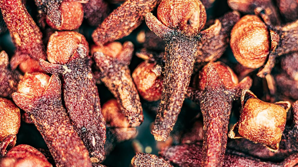 Antes de virar especiaria, o cravo-da-índia nasce como botão floral de uma árvore tropical, o que explica por que seu cultivo exige mais tempo do que ervas comuns (Foto: Pexels)
