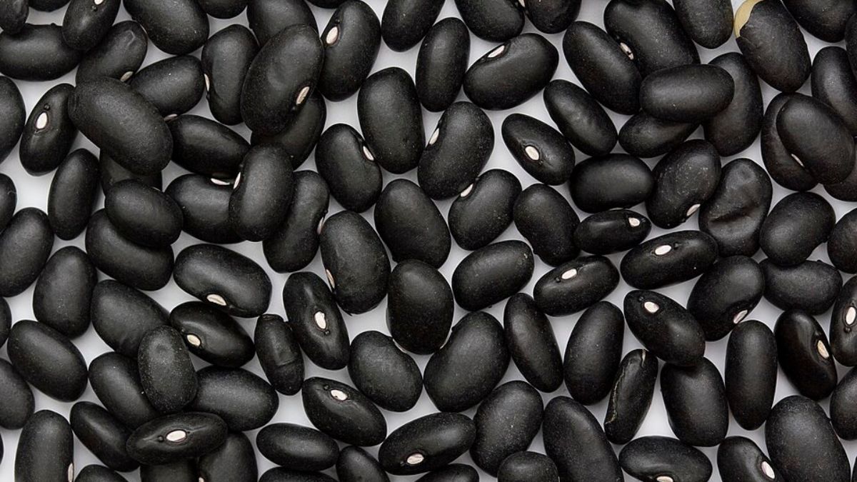 O feijão preto é muito associado à culinária brasileira e costuma aparecer em preparos de caldo mais encorpado (Foto: Wikimedia Commons/Sanjay Acharya)