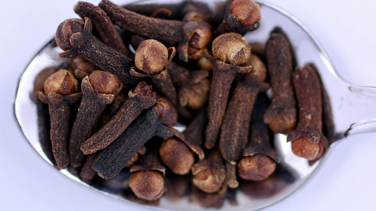 O formato do cravo seco ainda revela sua origem: cada unidade é um botão floral colhido antes de abrir e desidratado para concentrar aroma e sabor (Foto: Pexels)