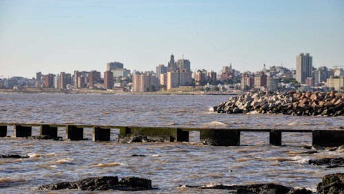 Montevidéu concentra parte da imagem de estabilidade e organização que ajuda o Uruguai a se destacar em rankings de bem-estar (Foto: Pexels)