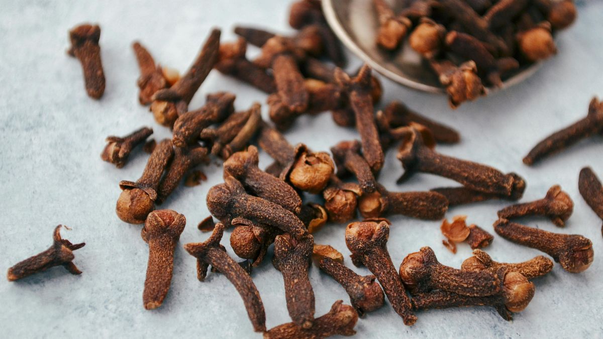 A planta precisa de calor, umidade e luz solar constante para se desenvolver bem e produzir os botões aromáticos que serão colhidos (Foto: Pexels)