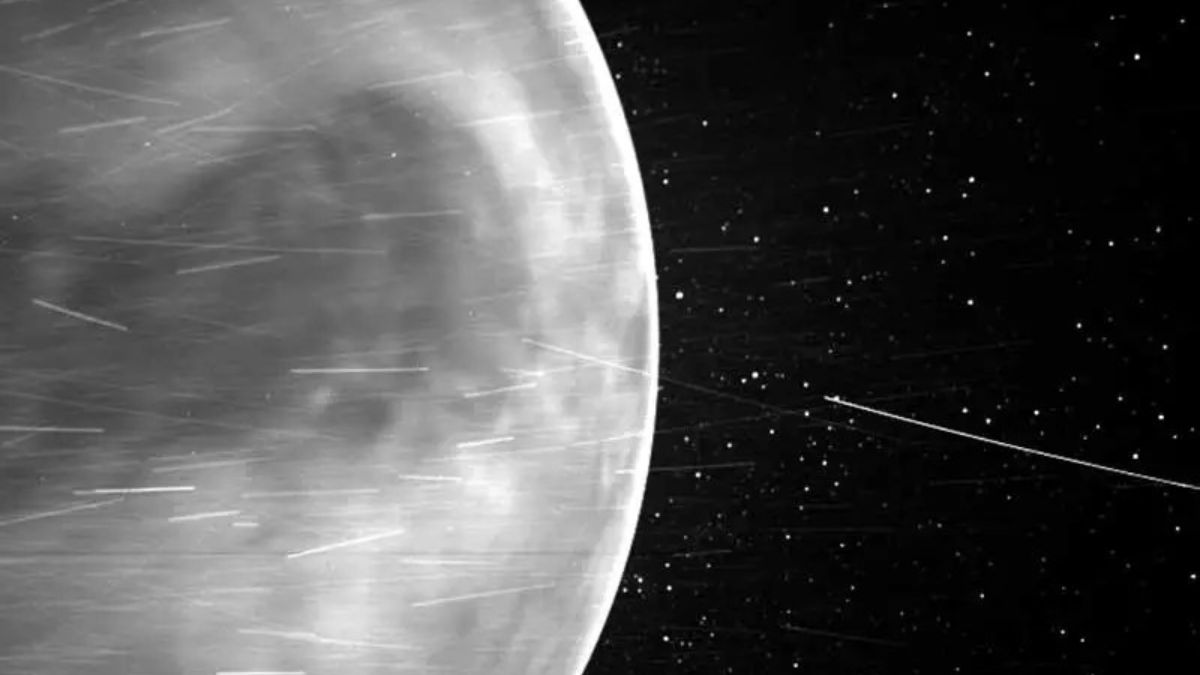 A missão Magellan produziu mapas de radar que continuam revelando detalhes de Vênus décadas depois (Foto: NASA)