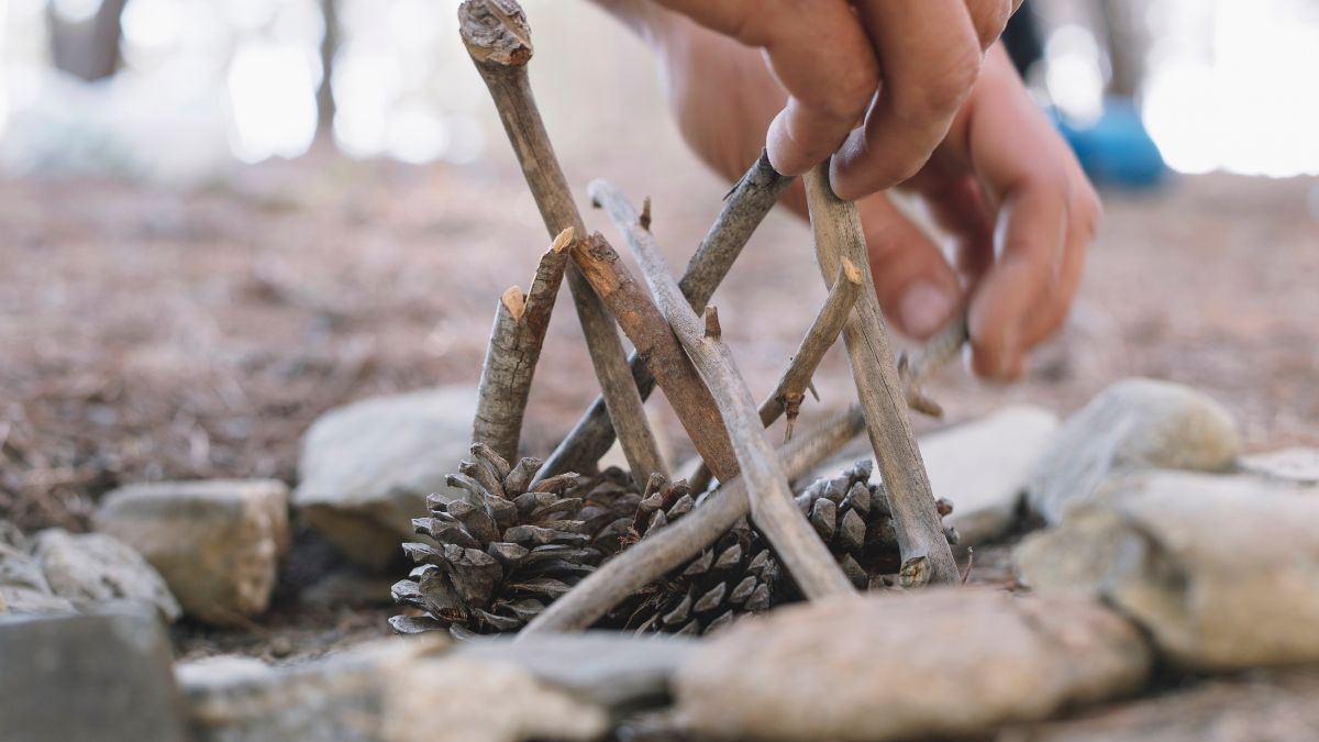 Instrumentos antigos revelam a tentativa de transformar dor de dente em procedimento, mesmo sem os recursos atuais (Foto: Pexels)