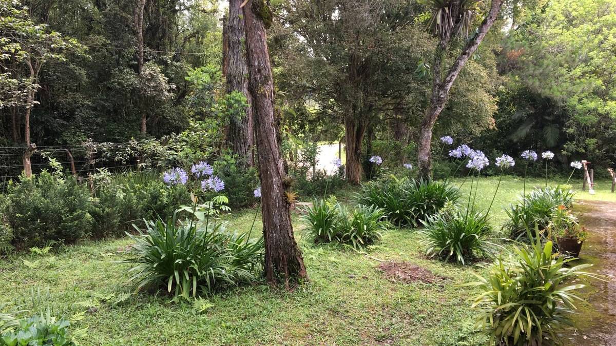 O Polo de Ecoturismo de São Paulo não se limita apenas à contemplação. A região é dividida em sete circuitos principais (como Jaceguava, Bororé e Marsilac) que oferecem uma infraestrutura completa de lazer.