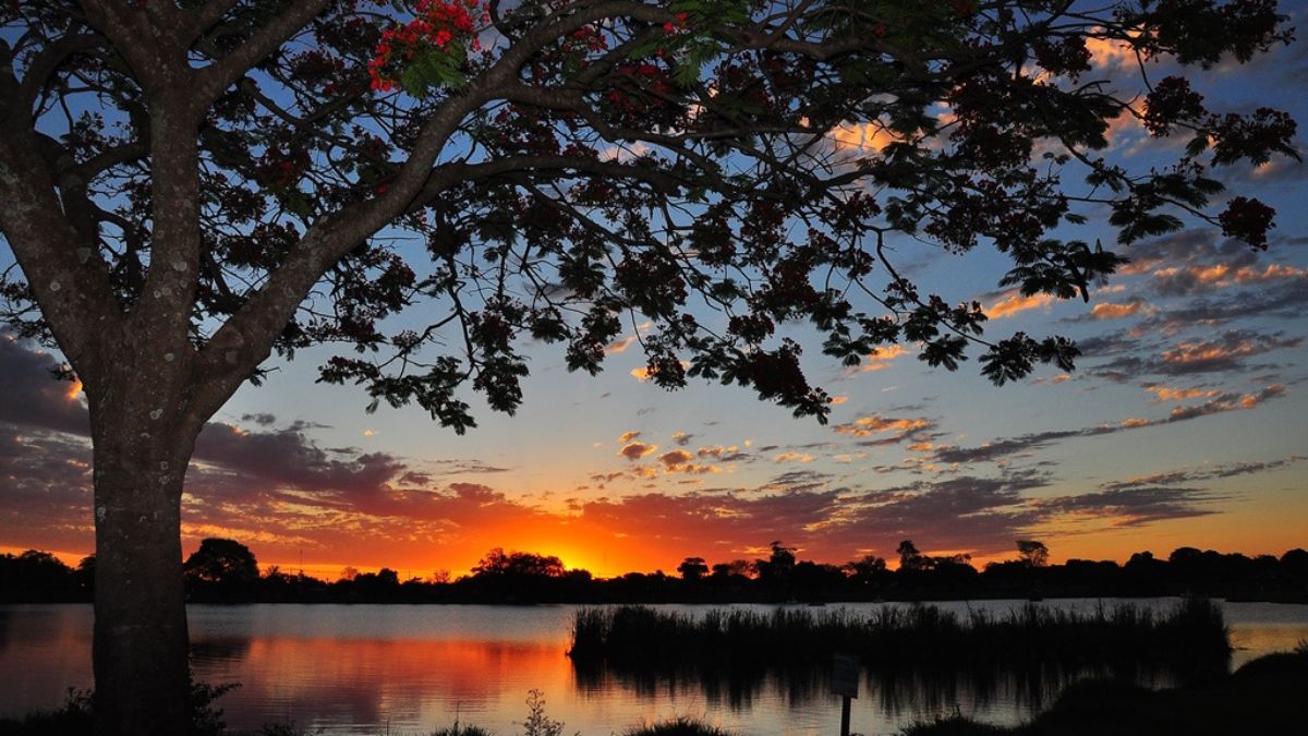 Mesmo em expansão, Dourados ainda preserva cenas associadas à vida ao ar livre, um contraste valorizado por quem foge da pressa das capitais (Foto: Prefeitura de Dourados)