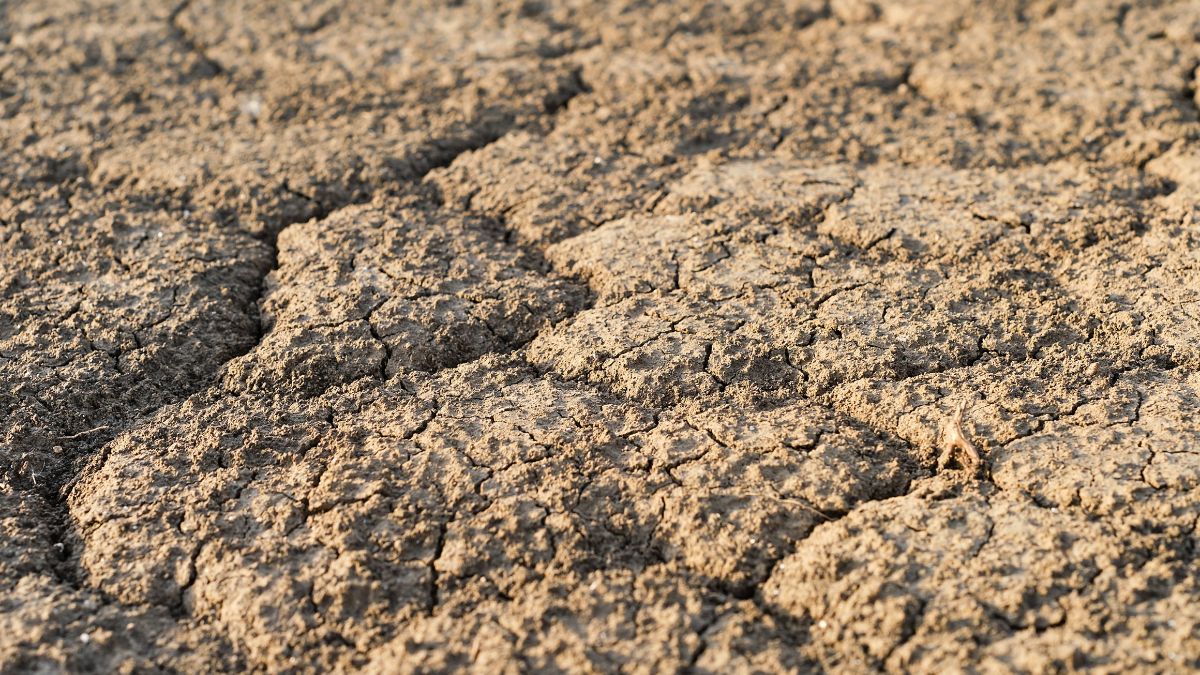A terra rachada resume visualmente o desafio da escassez hídrica em regiões onde chuva, reservatórios e infraestrutura falham ao mesmo tempo (Foto: ededchechine / Freepik)