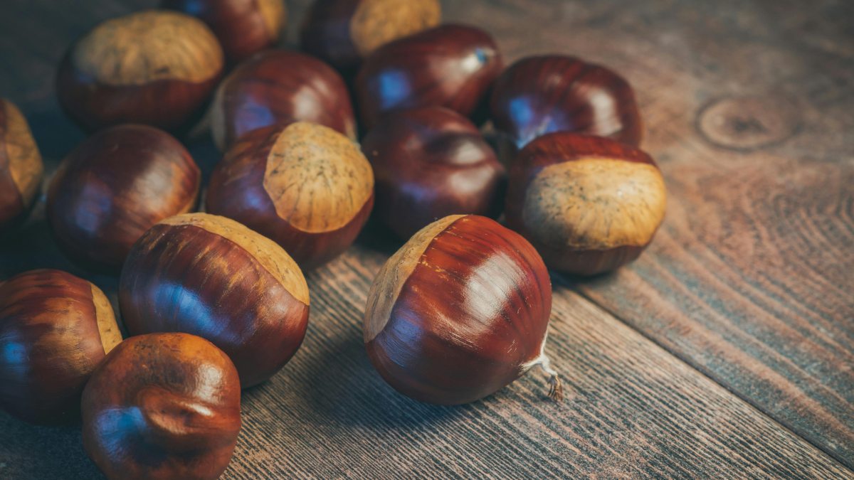 3. Oleaginosas (castanhas e nozes): são ricas em gorduras boas e proteínas; controlam o apetite, mas exigem moderação no consumo devido à alta densidade calórica