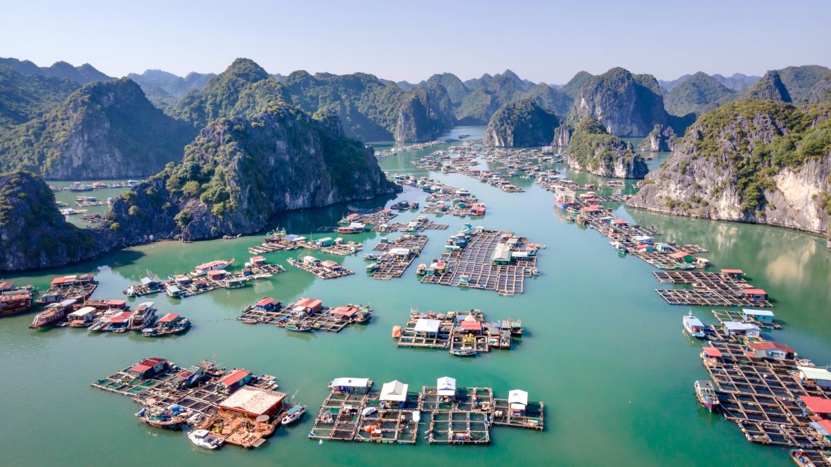 Com águas em tom esmeralda, formações rochosas gigantes e vilas flutuantes no mar, a Baía de Ha Long está entre os destinos mais impressionantes do mundo