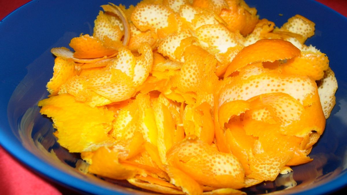 A parte externa das frutas cítricas concentra óleos aromáticos, responsáveis por boa parte do cheiro fresco (Foto: Pexels)