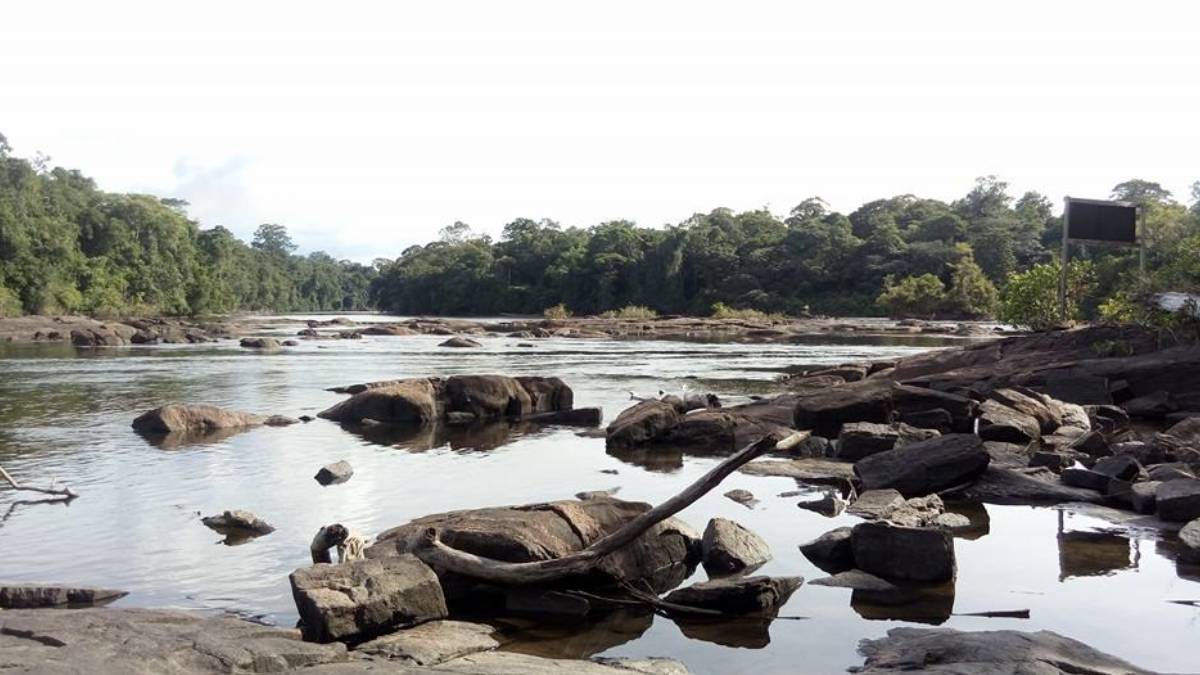 Maior parque nacional do Brasil, Tumucumaque protege milhões de hectares da Amazônia e uma das áreas mais preservadas do planeta