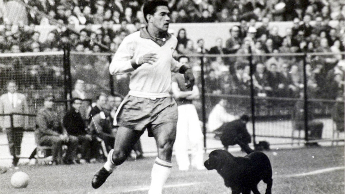 Garrincha, o 'Rei do Drible', tentou encurralar o 'perro': com um desconcertante drible de corpo, o cachorro deixou o craque para trás, arrancando gargalhadas das arquibancadas - (Reprodução)