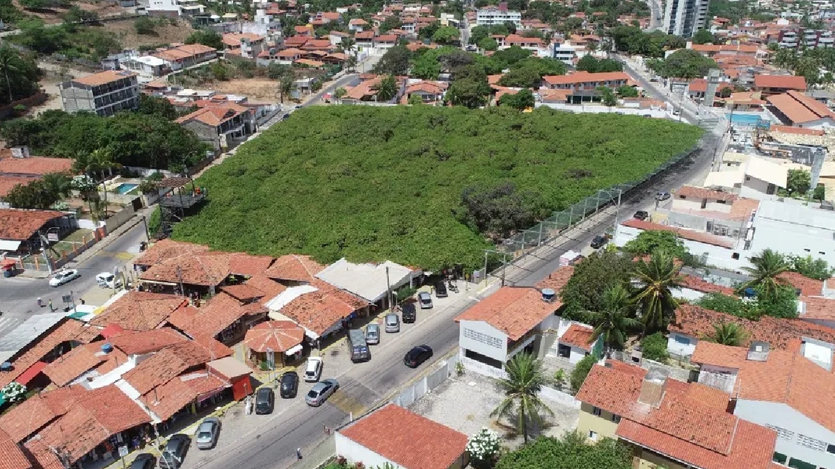 O impacto econômico do cajueiro é vital para a região, gerando cerca de 1.300 empregos diretos e atraindo uma média de 350 mil visitantes por ano - (Divulgação/Idema-RN)