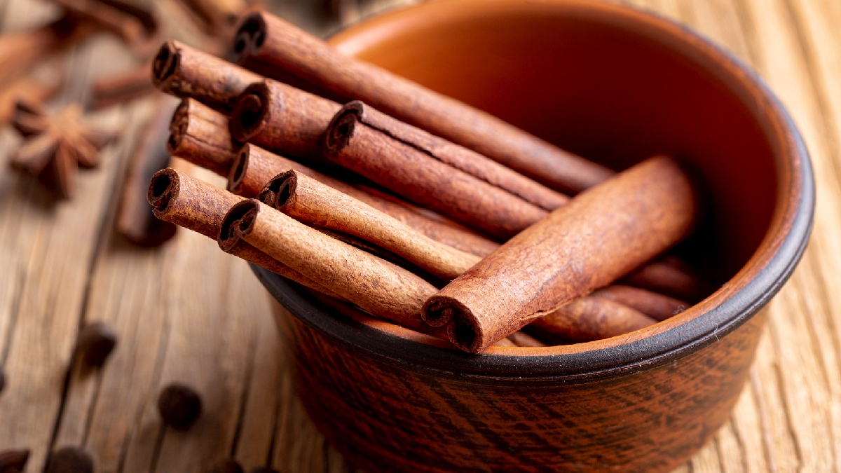 A canela, por sua vez, complementa a experiência com um toque adocicado, criando uma atmosfera de conforto, ideal para dias mais frescos ou chuvosos - (Freepik)